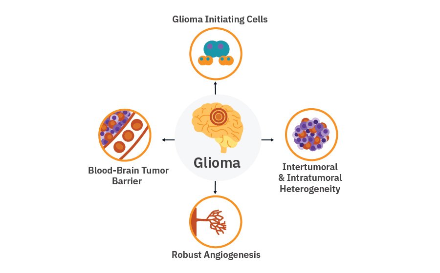 Glioma Application