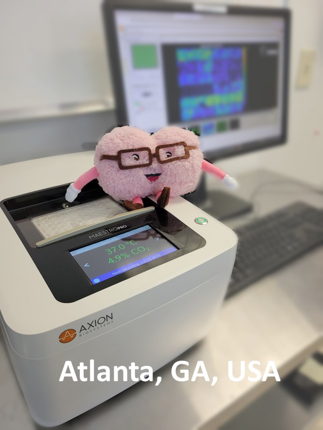 Minibrain in Atlanta