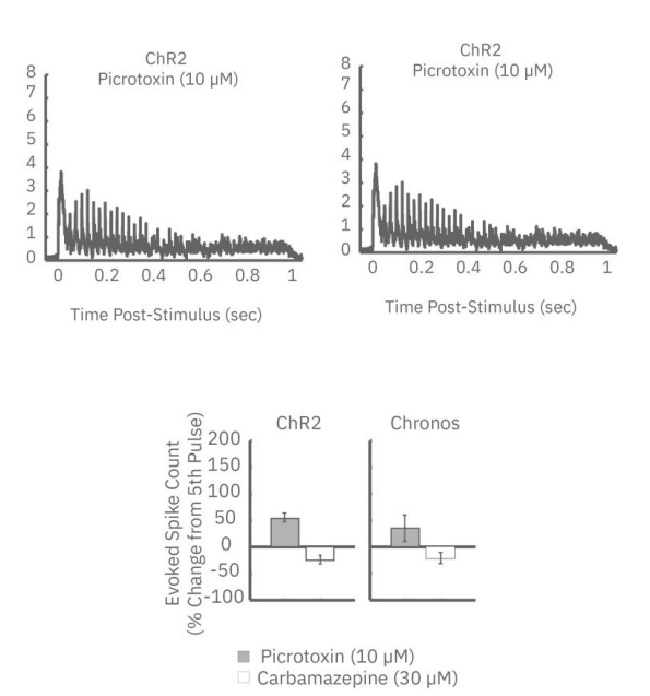 Interpreting Optogenetic data