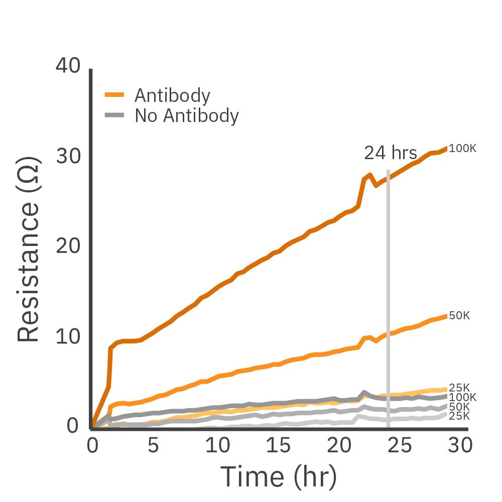 Daudi cells proliferation curve with tethering