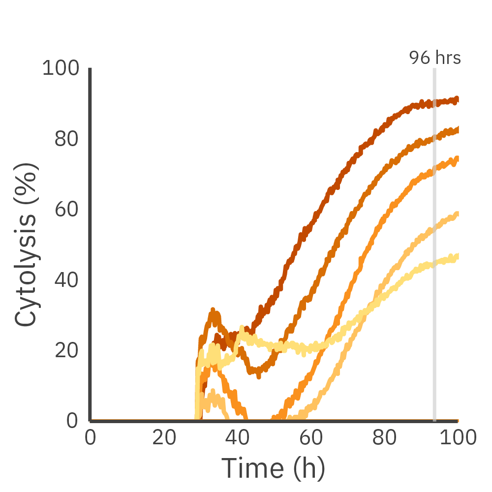 Daudi cell cytolysis over time