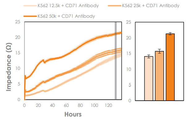 Growth curves for K562 cells seeded at 12.5k, 25k, and  50k with anti-CD71 antibody, and monitored on the Maestro Z during the  attachment, spreading, and proliferation phases.