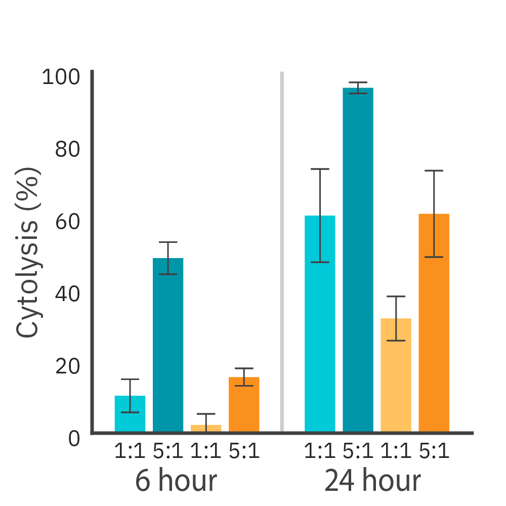 CAR T cell-mediated killing of SKOV3 and MCF7 cells expressing different levels of HER2 antigen.