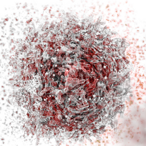Cytotoxicity