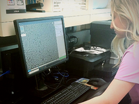 Research Grant Award Lux 3 FL