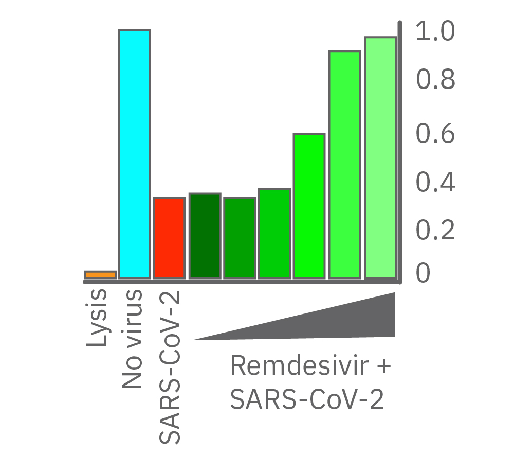 Anti-viral drug treatment with remdesivir