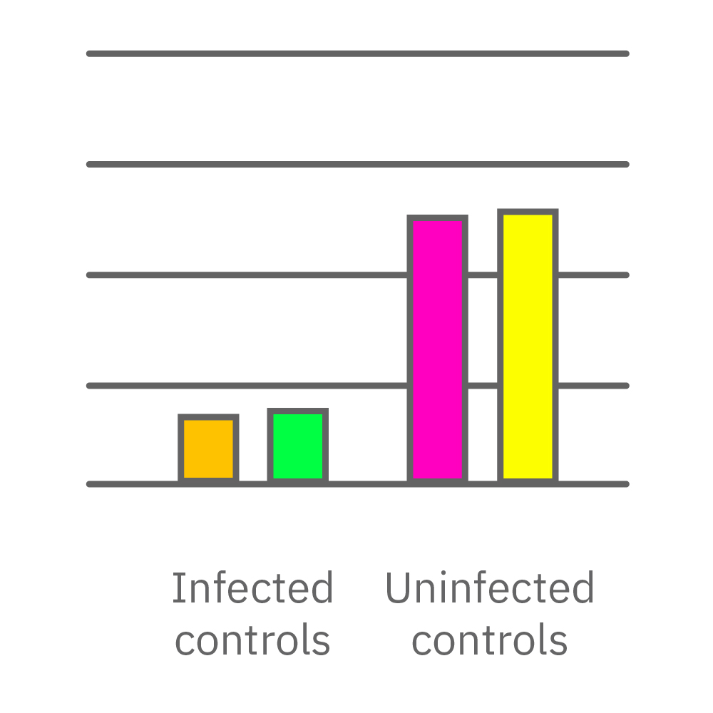 At their highest concentrations the drug was toxic to the cells.