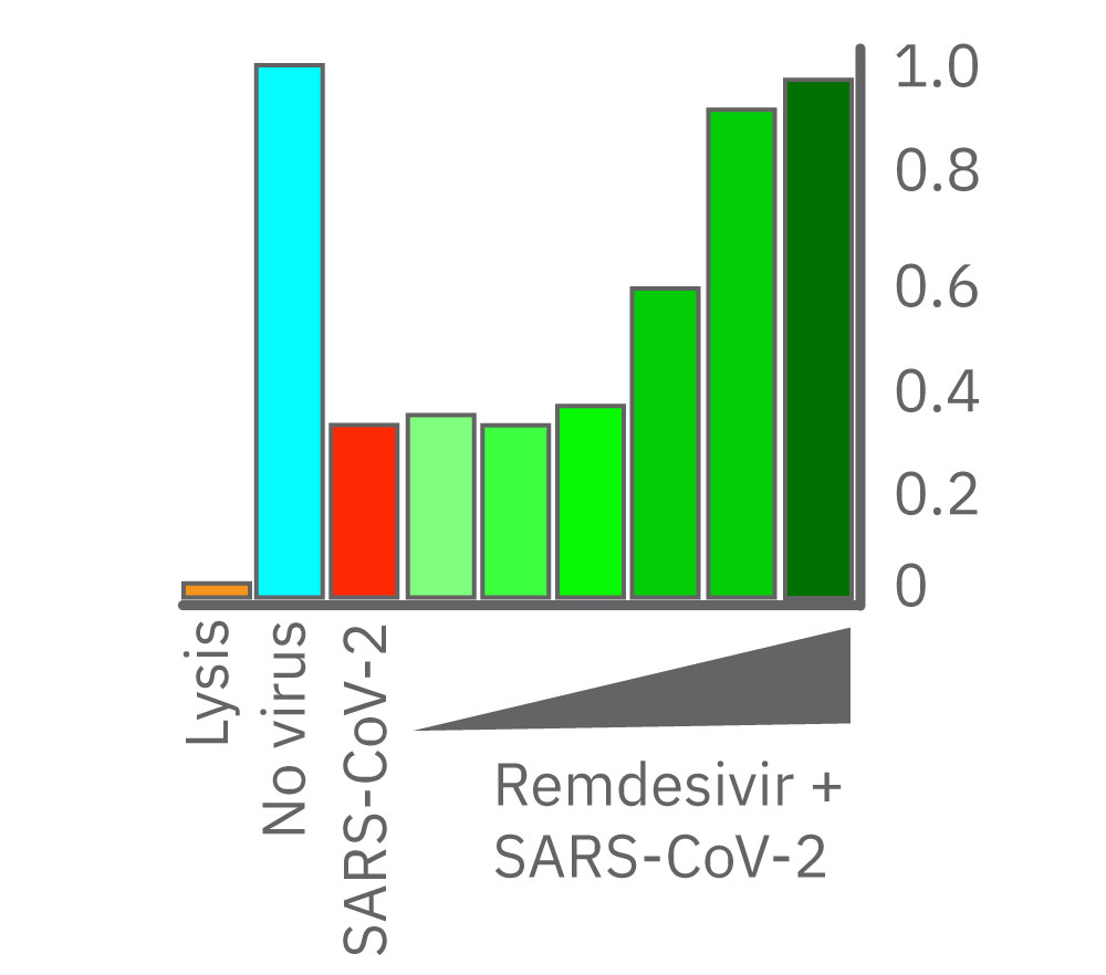 Anti-viral drug treatment with remdesivir treatment for COVID-19