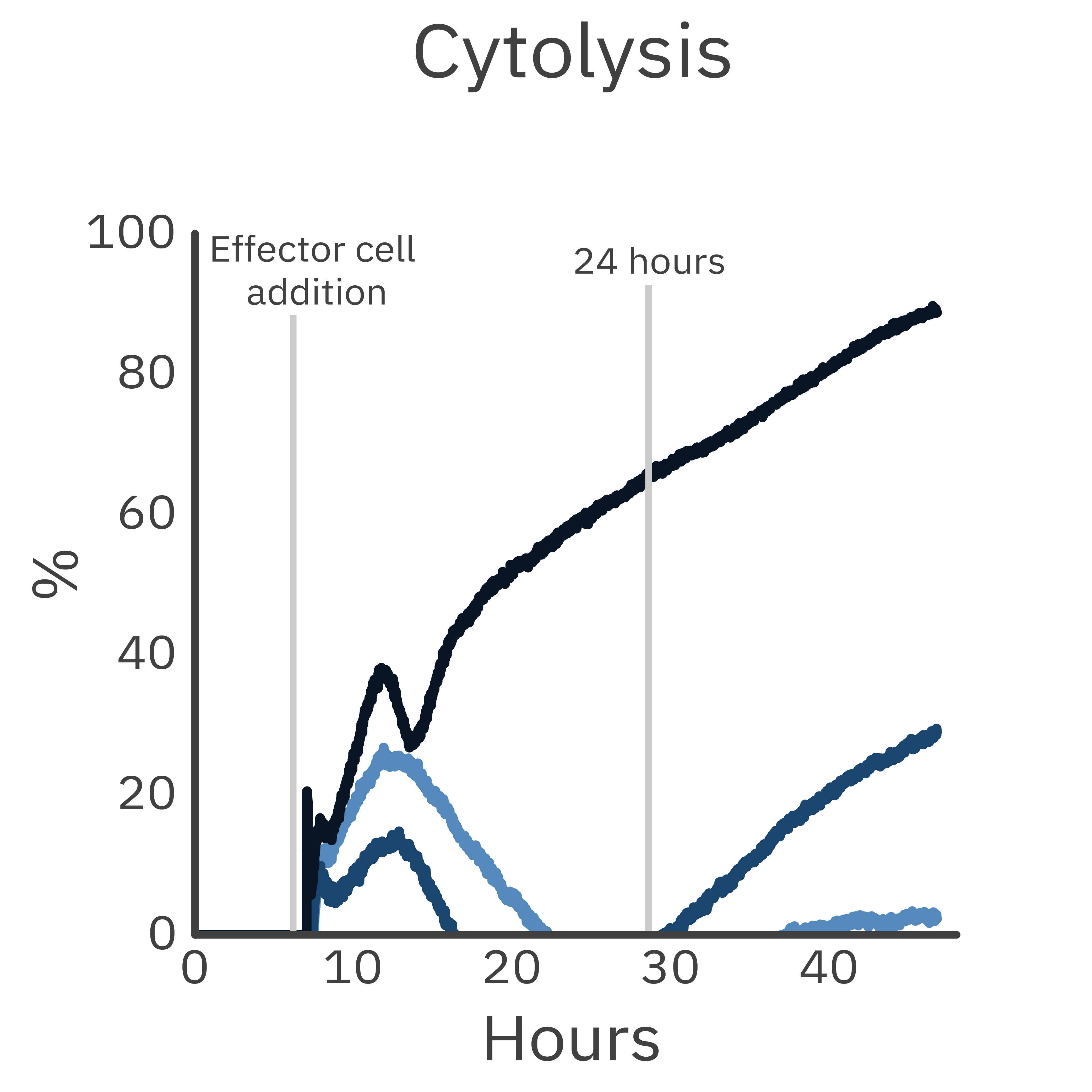 Trastuzumab promotes antibody-dependent NK cell killing of A172 target cells.