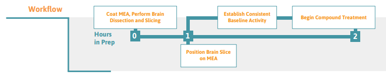 Acute Brain slice protocol on multielectrode array (MEA) platform