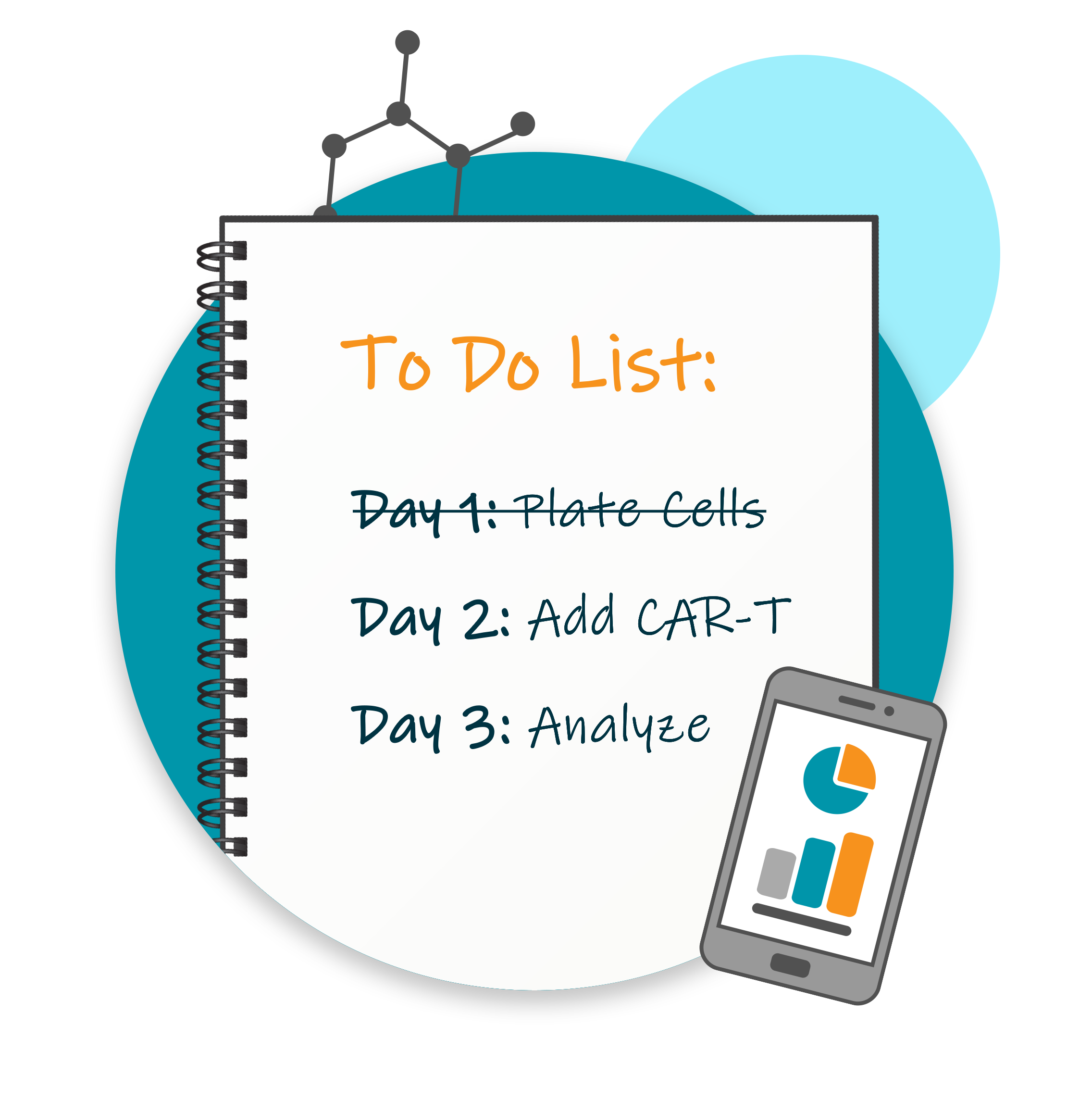 Axion eLabs Notebook: Day 1