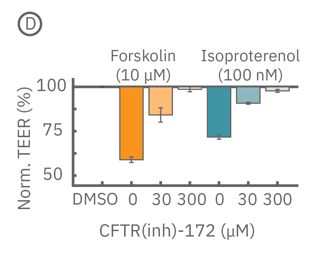 Measurements cconfirming CFTR as the mechanism for action for the change in TEER