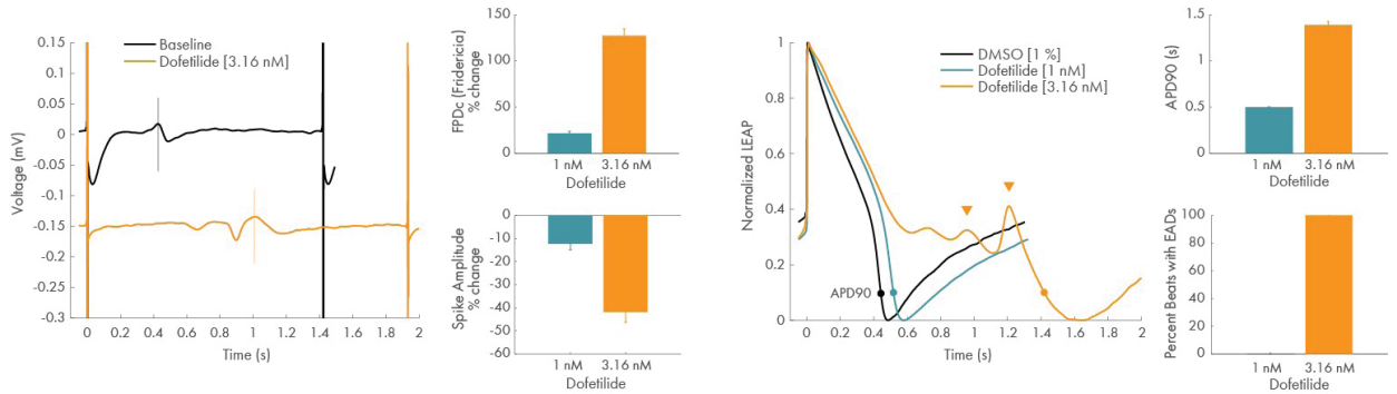 LEAP analysis from cardiomyocytes in the BioCircuit plate