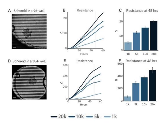 Tracking spheroid growth over time