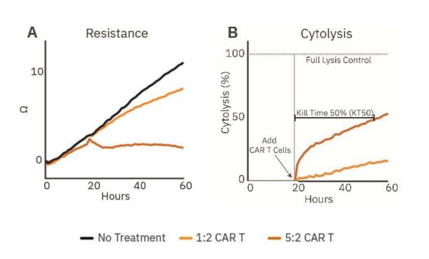 Cytolysis of cancer spheroids