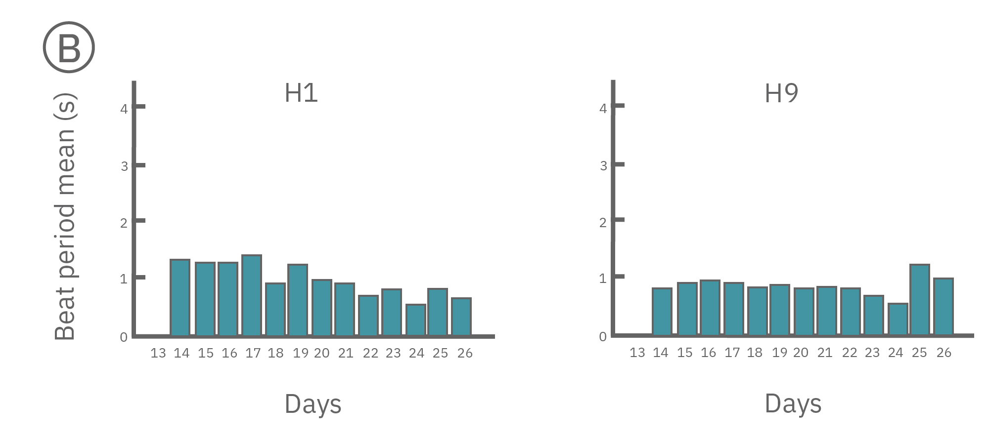 h1 hiPSC-CMs were used to record beat period