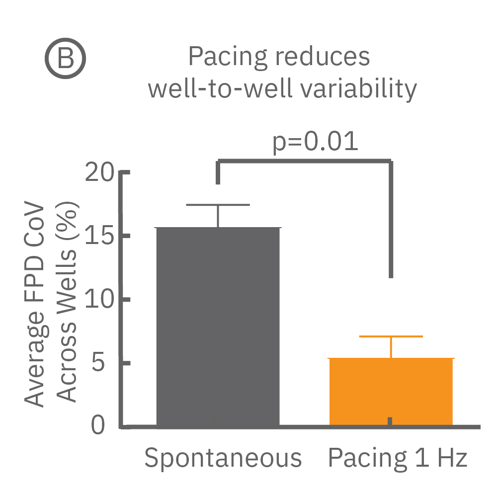 Cardiac pacing reduced well to well variability