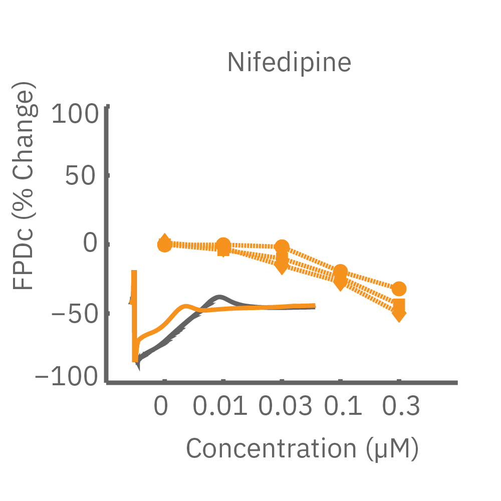 Nifedipine analysis for arrythmias in cardiomyocytes