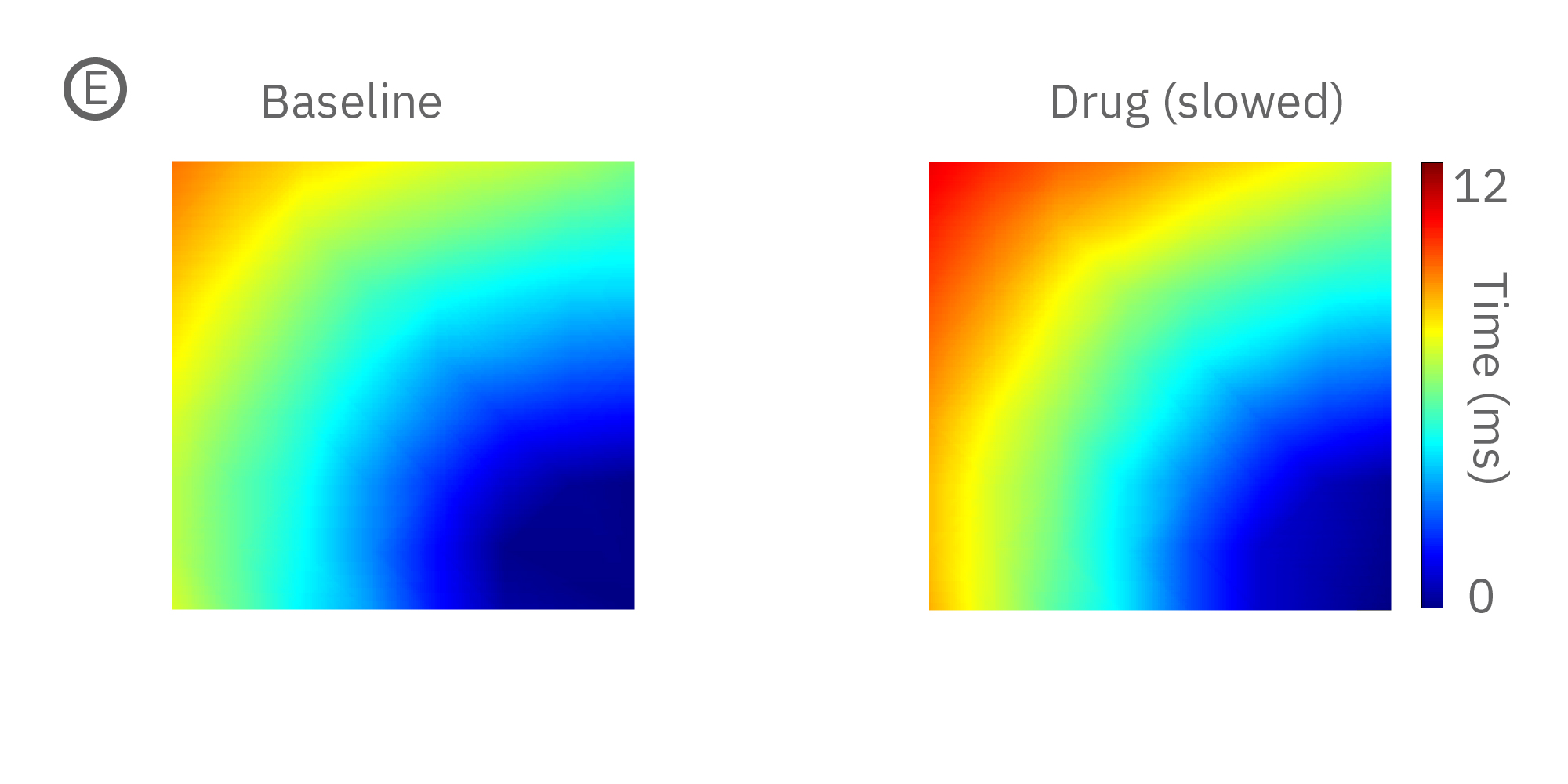 The baseline conduction velocity plot of hiPSC-CM