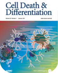 Cardiac organoid publication in Cell Death & Disease.