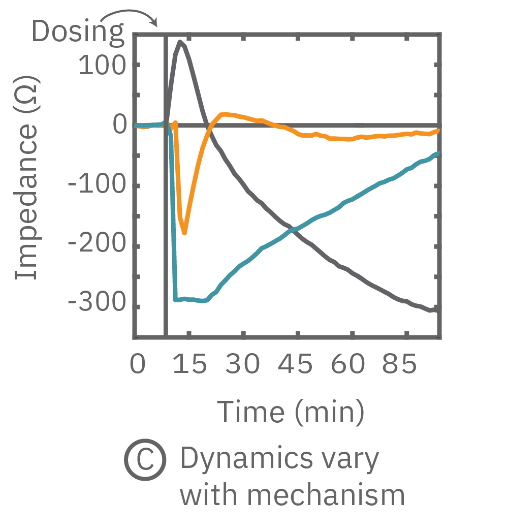 Cell signaling dynamics varied with compound mechanism.