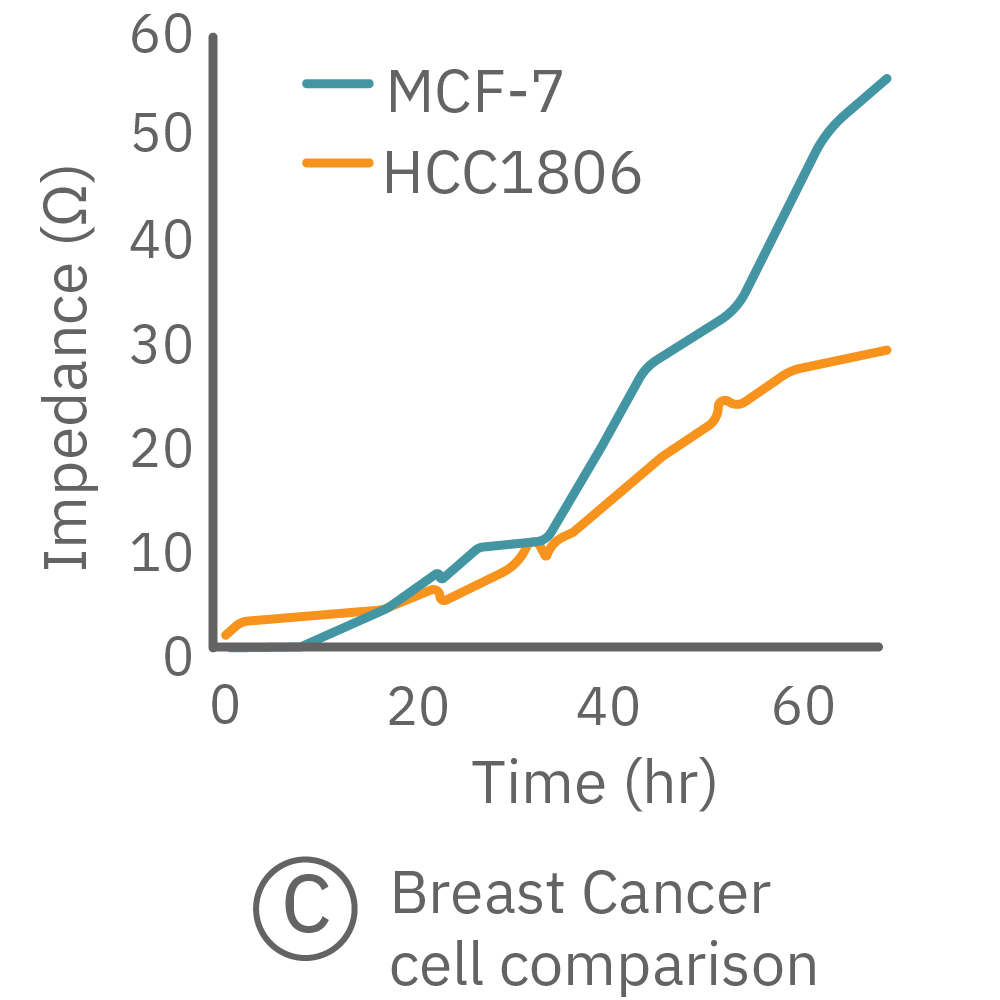 Cell migration continuous monitoring for 72 hours