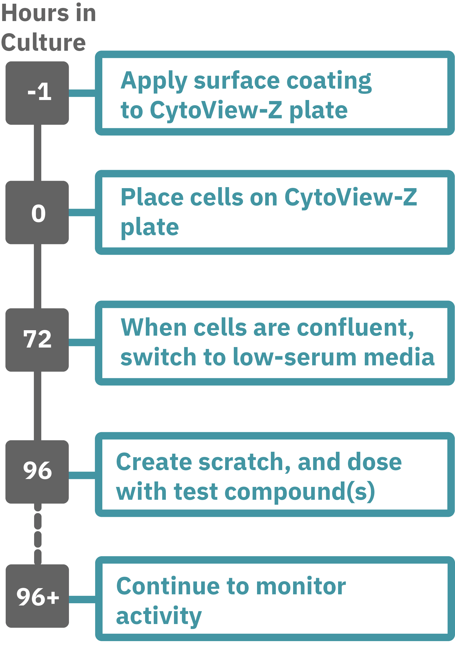 Cell Migration assay protocol or steps