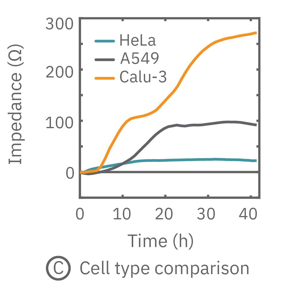 Cells growing over time