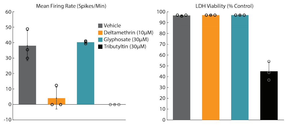 Neurotoxicity assay in Multiwell MEA plate