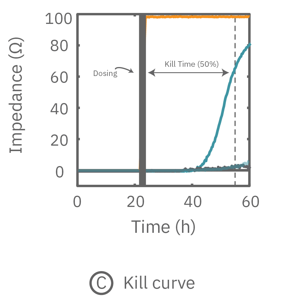 The percent cytolysis was tracked in real-time throughout the time course of the response.