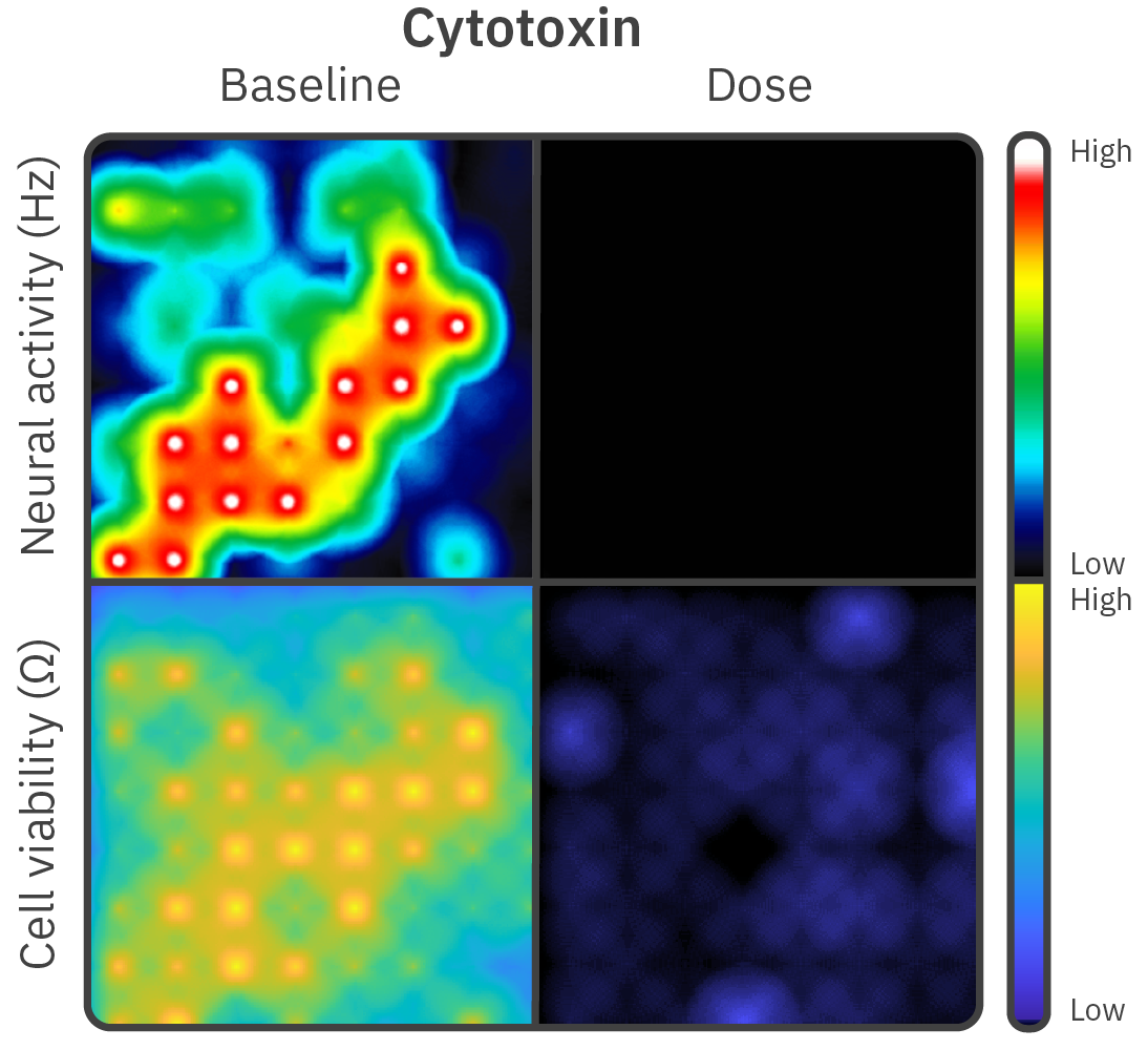 Cytotoxin baseline and dose viability activity