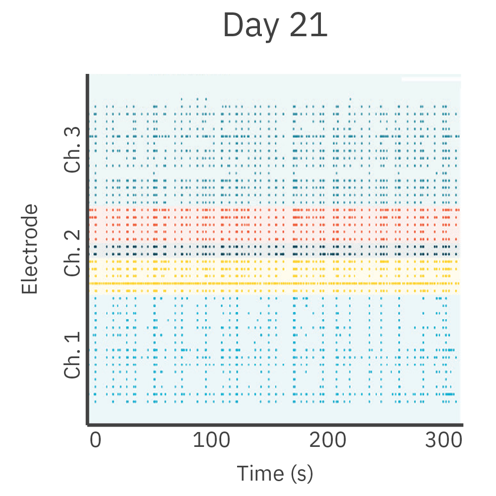 CoCulture Innervation Assay results on Day 21