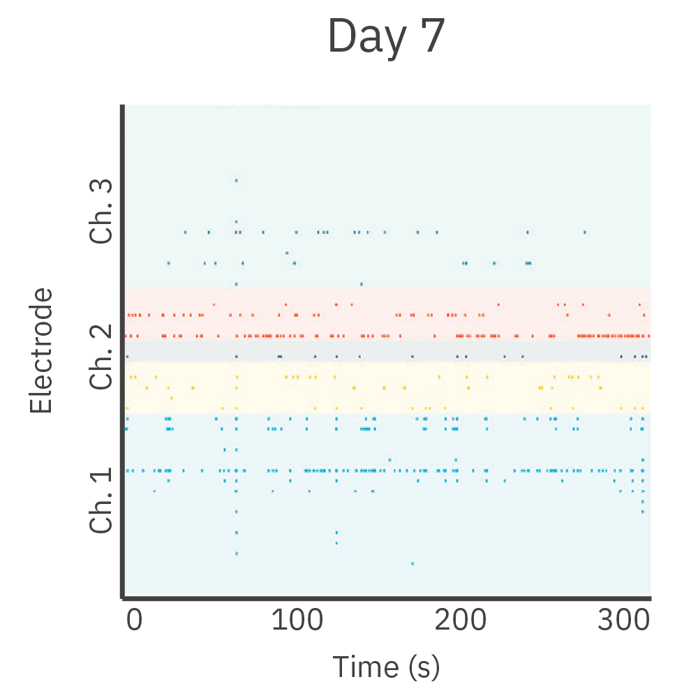 CoCulture Innervation Assay results on Day 7