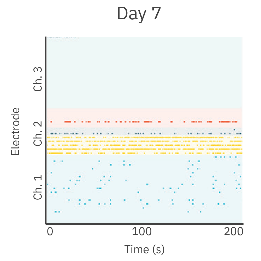 Neurite outgrowth and activity on Day 7