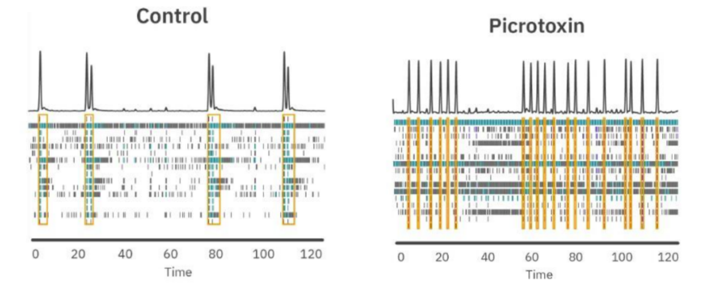 Neural Activity | Axion Biosystems