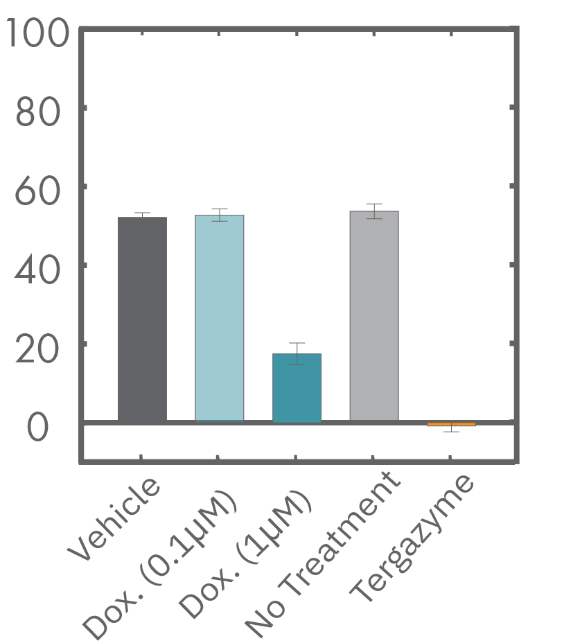 Higher doses of Doxorubicin resulted in a slower decrease in impedance and cell death