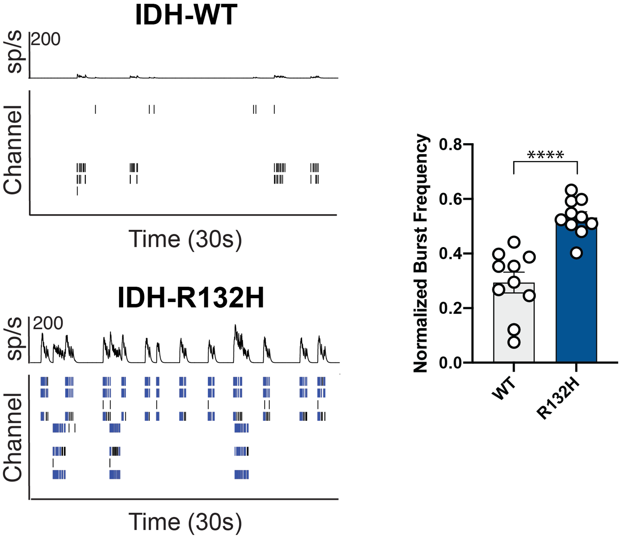 In the presence of glioma cells carrying the IDH-R132H mutation, neurons demonstrated an increase in neuronal bursting activity 