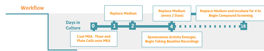 FCDI iCell Glutaneurons culture protocol for MEA platform