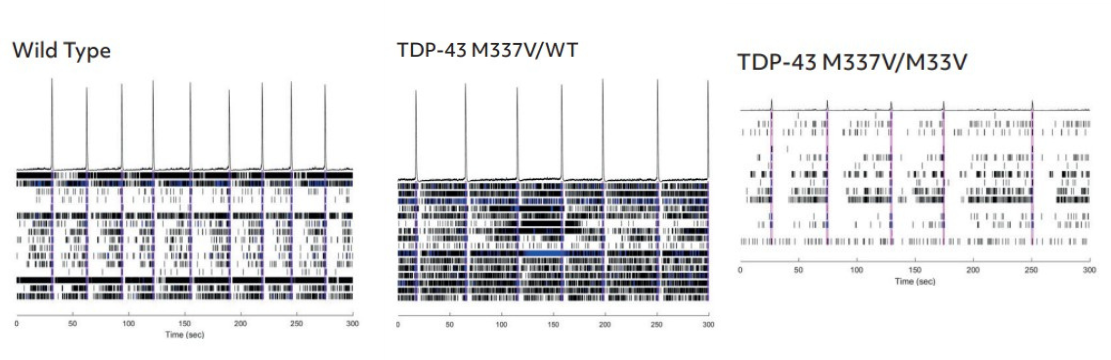 Fig 3C