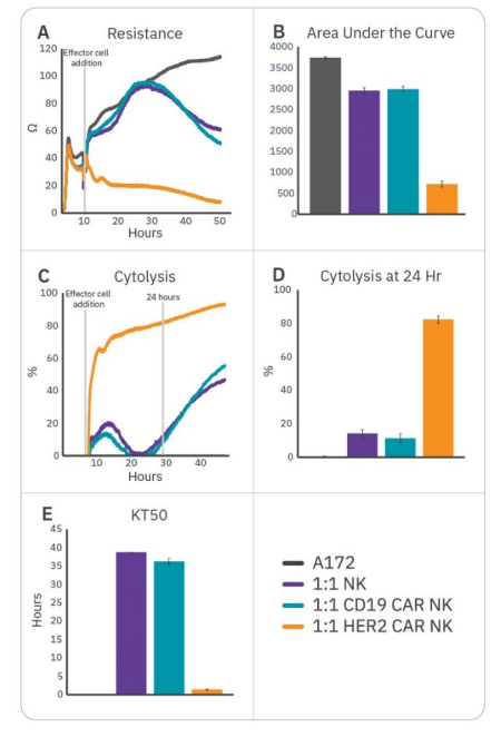 MEasure CAR NK-mediated cytotoxicity
