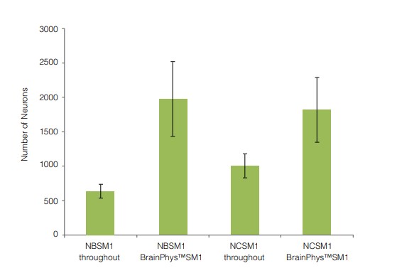 primary neuronal cultures matured in brainphys neuronal medium have greater numbers of neurons