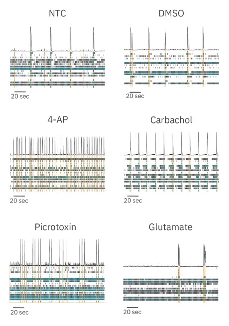 Raster plots illustrating patterns of neural activity 1 hour after dosing with each listed compound