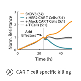Normalized resistance for CAR-T killing