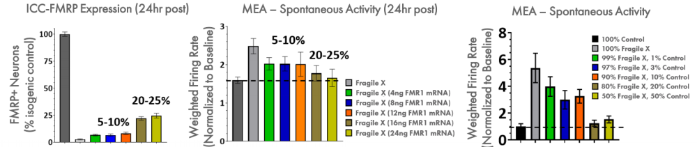 Spontaneous neural activity on MEA from Fragile X iPSC-derived neurons