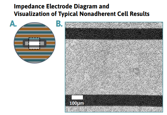 Impedance electrode with cells