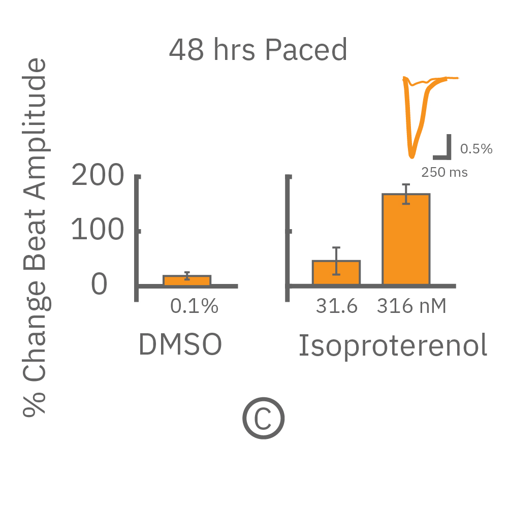 48 hours paced and then dosed with positive inotropes showed a positive dose-dependent increase in beat amplitude.