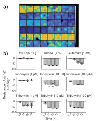 MEA viability analysis in an MEA plate with different neurotoxic or cytotoxic drugs