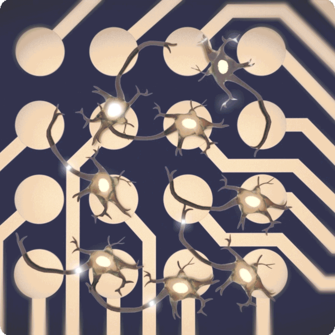 MEA activity on a multiwell plate