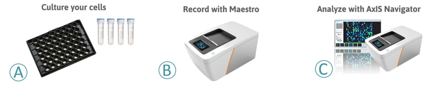 Maestro MEA platform process steps