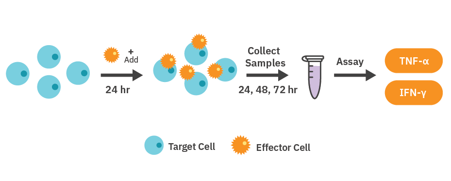 Methods illustration